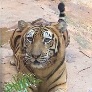 Meet your Posher, William